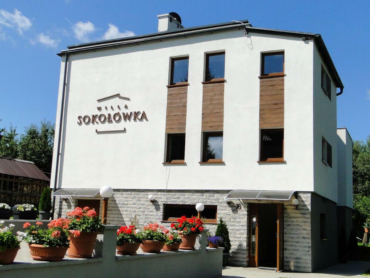 Apartment Sokolowka *