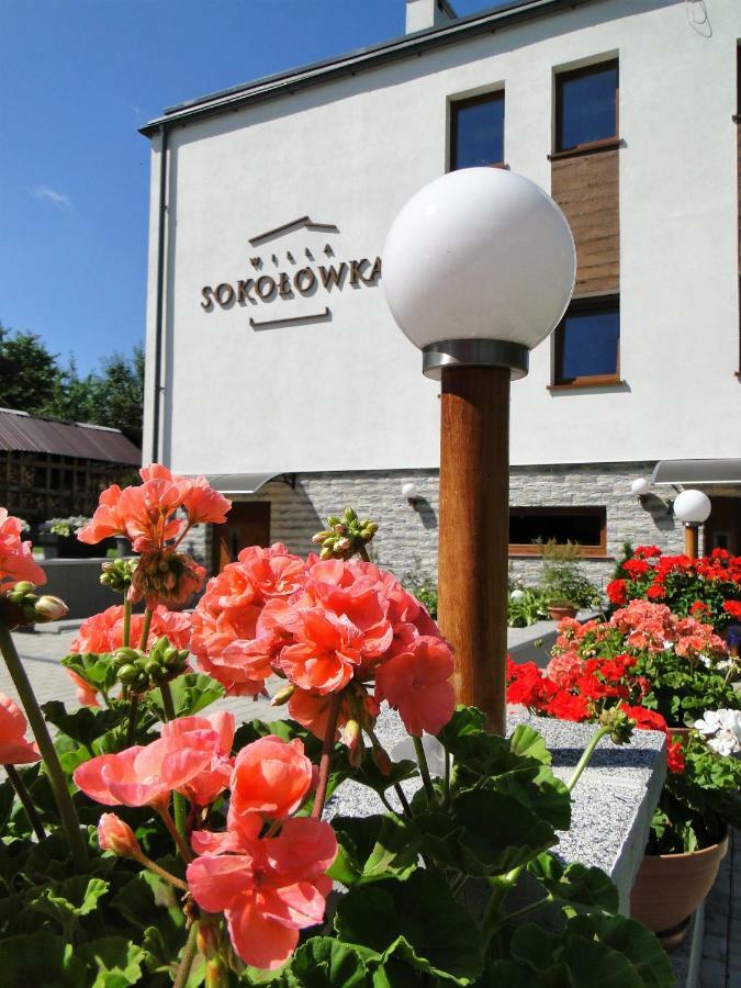 Sokolowka
