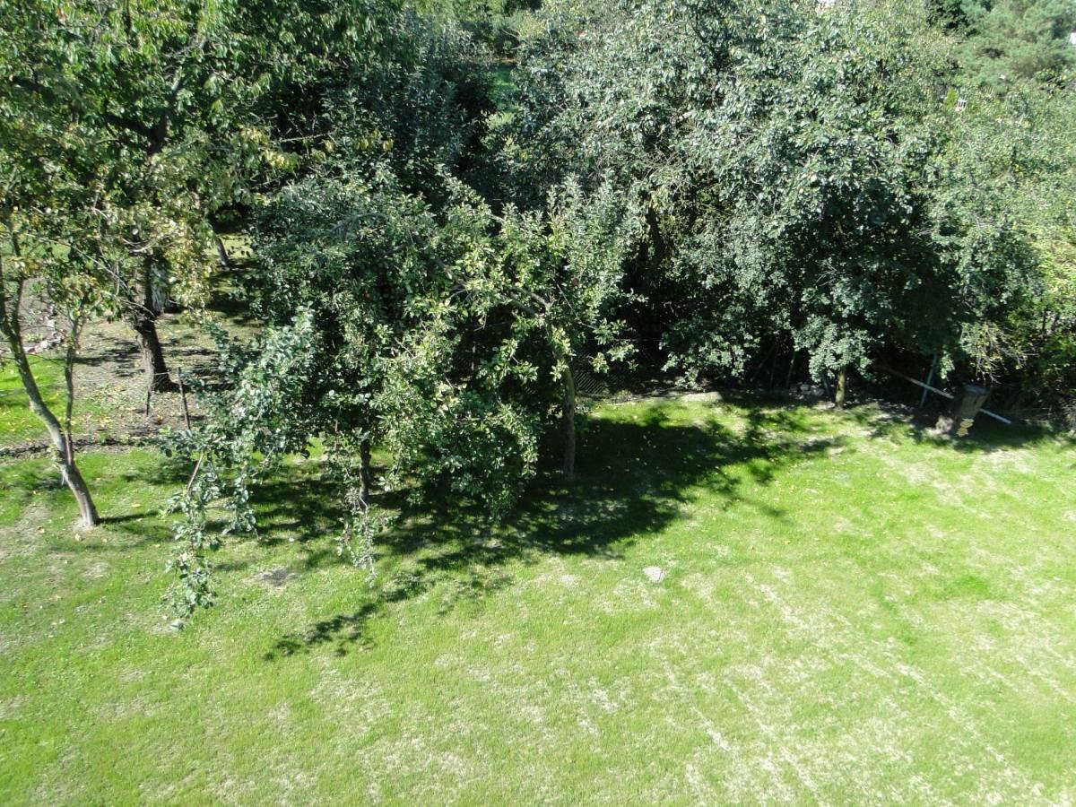 Sokolowka Apartment Bad Altheide